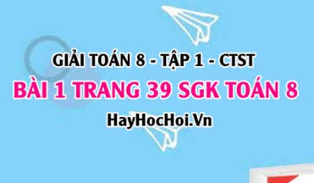 Giải bài 1 trang 39 Toán 8 Tập 1 SGK Chân trời sáng tạo